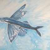 Flying Fish Artists Open Day Flying Fish Artists Open Day
