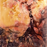 Celia Olsson