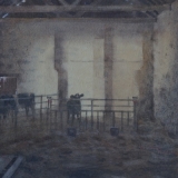 Colin Allbrook