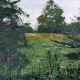 Mike Woollacott