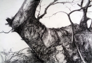 Mike Woollacott Drawing