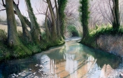 Mike Woollacott Stream