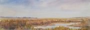 Celia Olsson - Salt Marsh