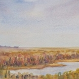 Celia Olsson - Salt Marsh