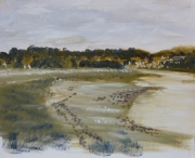 Taw Estuary - oil