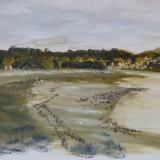 Taw Estuary - oil