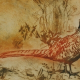 Helen Lee - Pheasant