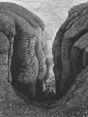 Hilary Paynter - Flamborough