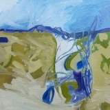 Janis Glover -Hidden Exmoor