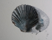 Jennifer Schamotta - Shell