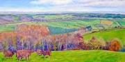 Jon Lincoln Gordon Higher Hacknell cows