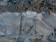 Laura Alexandra Tacey - Ice Formation 1