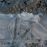 Laura Alexandra Tacey - Ice Formation 1