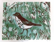 Louise Thompson - Song Thrush