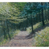 Marianne Edwards Woodland Shadow
