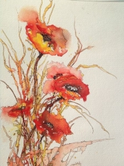 Phil Rycroft - Poppies