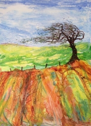 Phil Rycroft - Wind torn Black Thorn