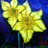 Richard Meyer, Two daffodils