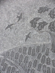 Richard Strachey, Caithness Sandstone - Hooper's Water detail