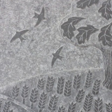 Richard Strachey, Caithness Sandstone - Hooper's Water detail