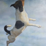 Shan Miller - Jumping Jack