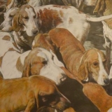Shan Miller - The Pack