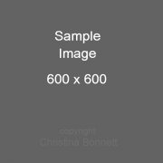 sample image 1
