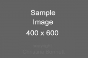 sample image 2