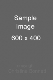 sample image 3